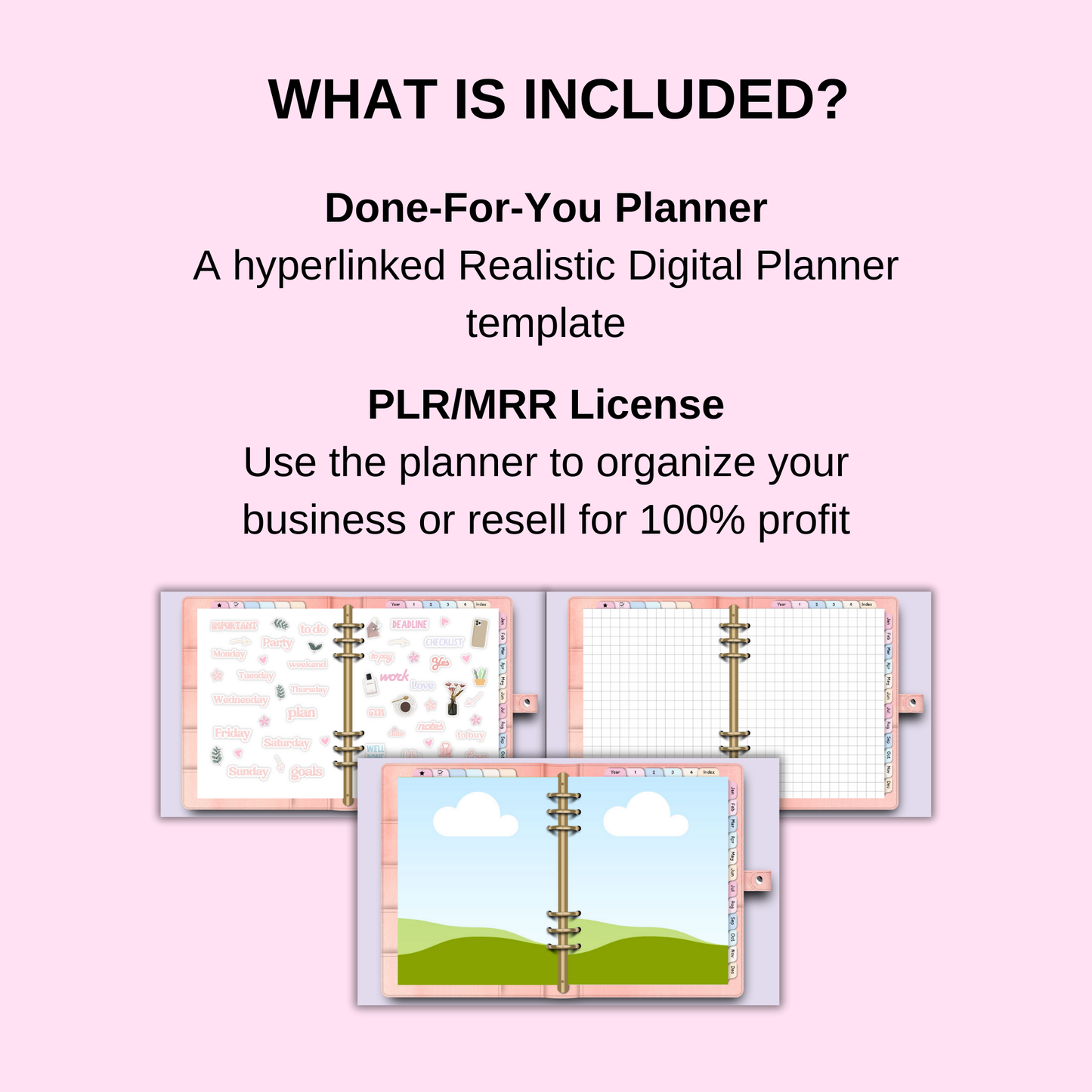 PLR Blank Realistic Digital Planner Template