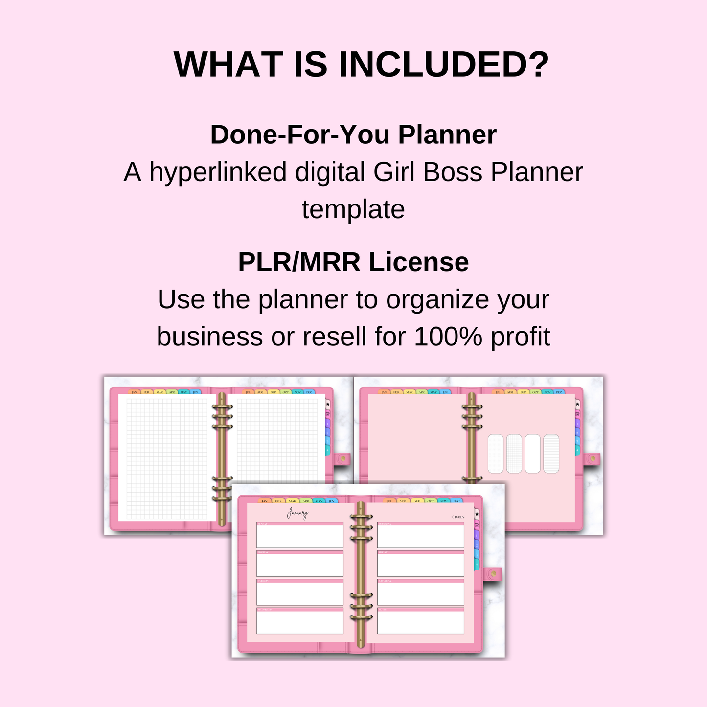 PLR Realistic Digital Girl Boss Planner