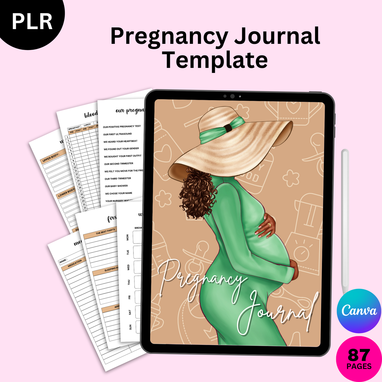 PLR Pregnancy Journal Template