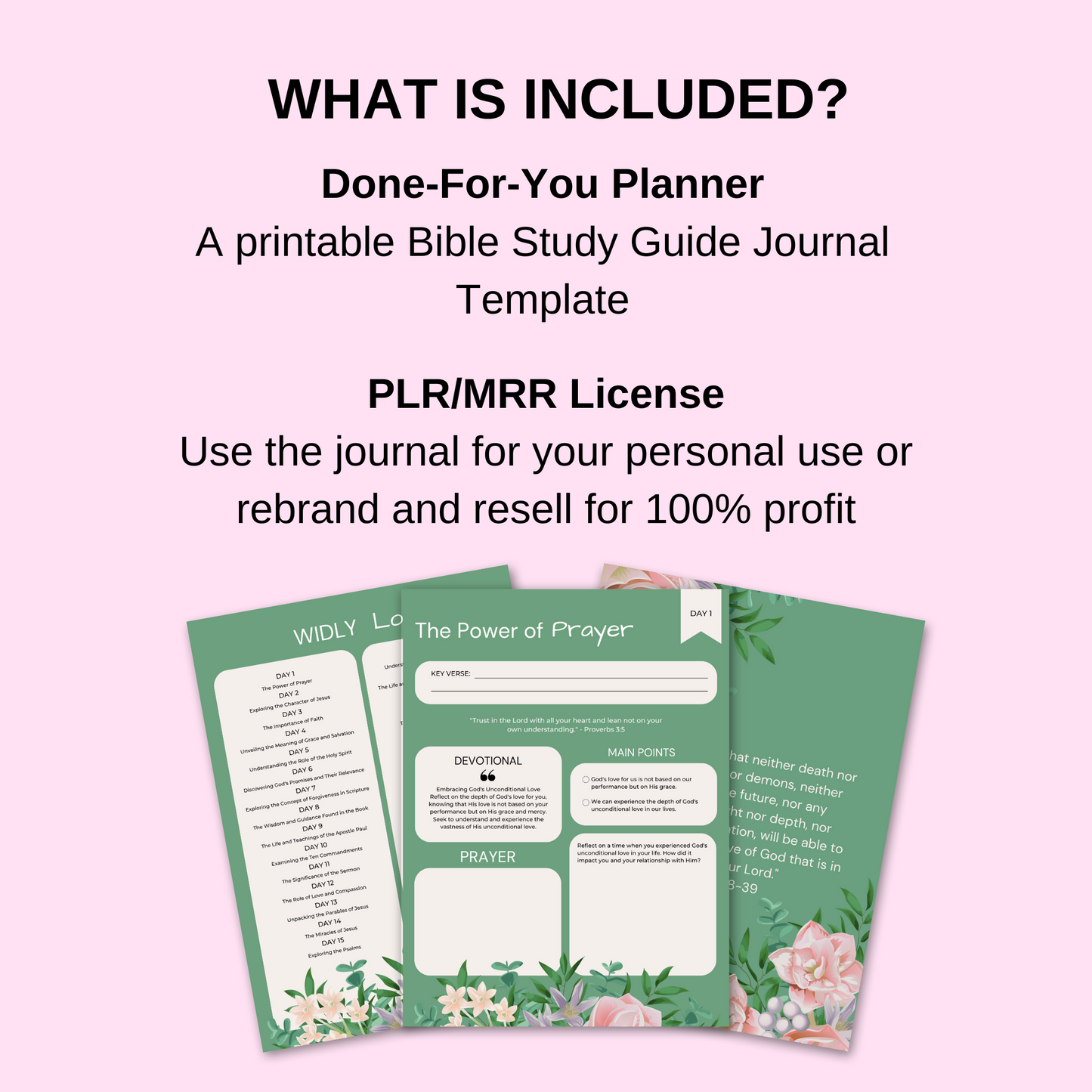 PLR Bible Study Guide for Women Journal Template