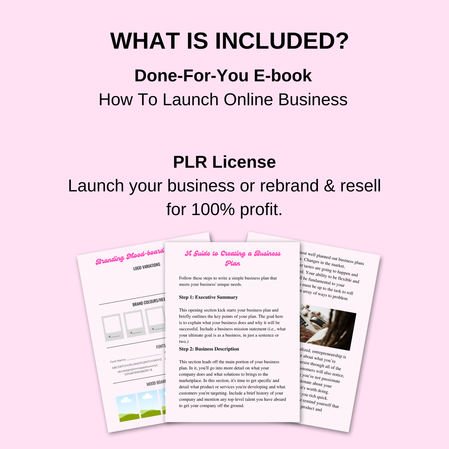 PLR How to Launch an Online Business Guide